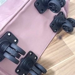 布製キャリーバッグの画像