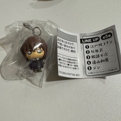 めじるしアクセサリー
の画像