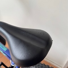 TREK Precaliber 16 キッズバイク　子供用自転車   の画像