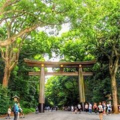 40・50代 パワースポット♪ ～1人参加～【原宿】💖