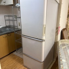 冷蔵庫 無料
の画像