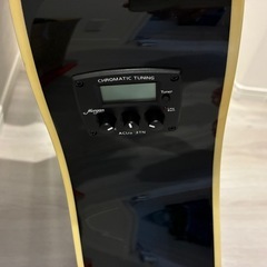 エレアコ　Morganの画像