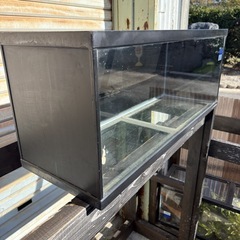 🉐引き取り限定‼️90cmスリム水槽②ラスト1台の画像