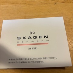 値下げしました！SKAGENメンズ腕時計 の画像