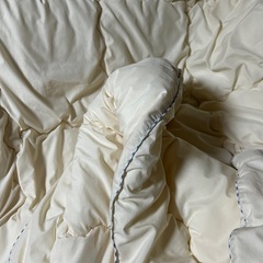 ニッセン　シングル　洗える掛け布団　薄手の画像