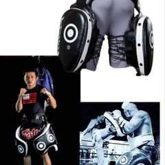 Fairtex ローキックミット の画像