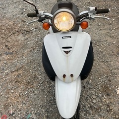 TODAYホンダスクーター AF-67の画像