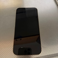 iPhone12ProMAX128Gの画像