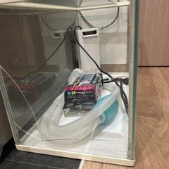 GEX AQUA FILTER水中設置式 GEX 50cm水槽 セット ポンプ　濾過フィルター   の画像