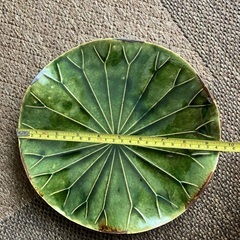 蓮の葉のお皿の画像