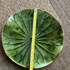 蓮の葉のお皿の画像