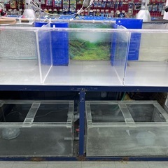 業務用大型水槽の画像