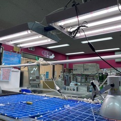 業務用大型水槽の画像