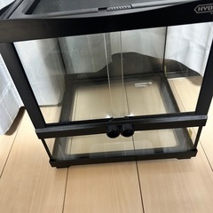 爬虫類ゲージの画像