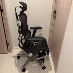 エルゴヒューマン プロ　オットマンの画像