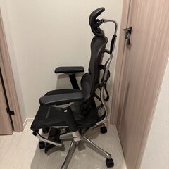 エルゴヒューマン プロ　オットマンの画像