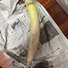 ネギと大根セットの画像