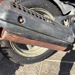 HONDA　DIOの画像