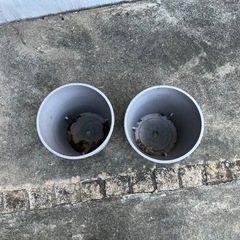 植木鉢２個 径200-270  h275の画像