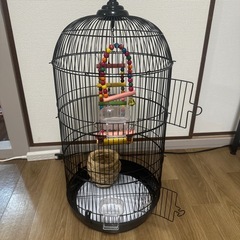 鳥籠の画像