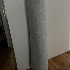 大きい　カーペットの画像