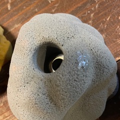 ホールドの画像