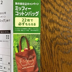 フジパン　ミッフィーバッグ　応募券の画像