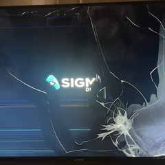 【ジャンク】 49型 ELSONIC ECS-TU49R 液晶割れ
の画像