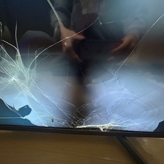 【ジャンク】 49型 ELSONIC ECS-TU49R 液晶割れ
の画像