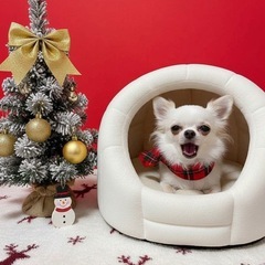 千葉県 通話なしメンタルグルチャ