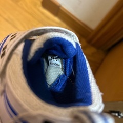 13センチの画像