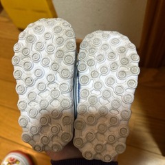 13センチの画像