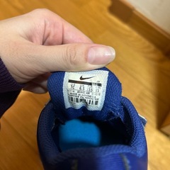 13センチの画像