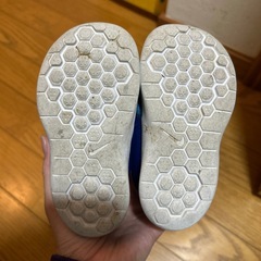 13センチの画像