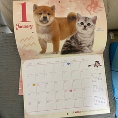 2026年　壁掛けカレンダーの画像