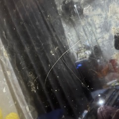 パナソニック4K液晶テレビの画像