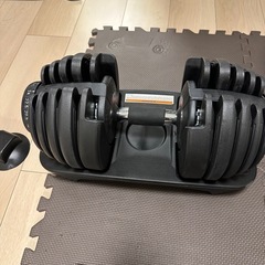 可変式ダンベル、ベンチ台の画像