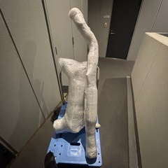 フェアレディz33 マフラーの画像