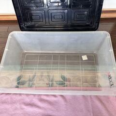 衣装ケースあげます！の画像