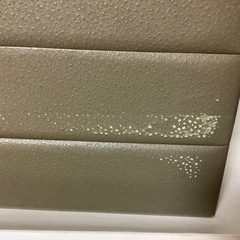 資生堂　コスメボックス　ソーイングボックス　ノベルティ　ジュエリーボックス　希少の画像