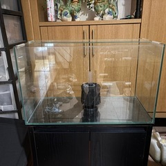 アクアリウム　撤退しますの画像