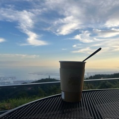 カフェ巡りしませんか🍽️