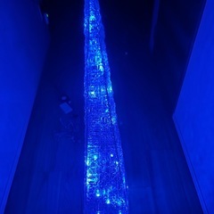 クリスマスツリーの画像