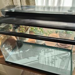 60㎝曲げガラス水槽セットの画像