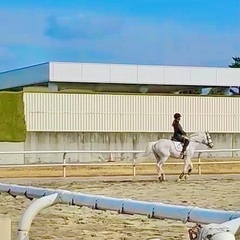 馬房掃除・飼い付け・馬装・馬の丸洗い・馬場の整地など - 手伝いたい/助けたい
