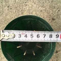 【中古処分 】カネヤ スリット鉢 90型 の画像