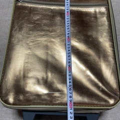 キャリーバックの画像