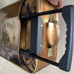 キャリーバックの画像