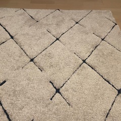 【200×250】ラグ・カーペットの画像