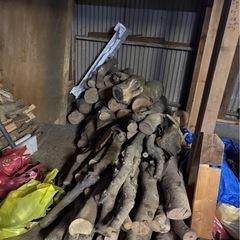 キャンプに如何ですか？の画像